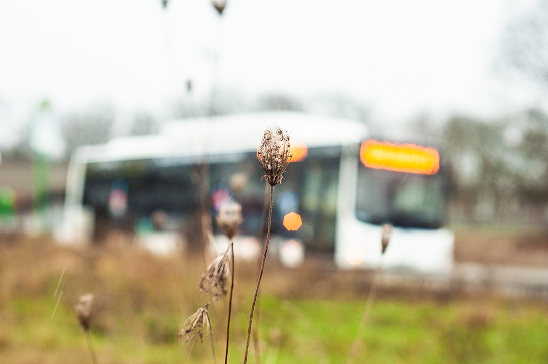 Bus in Hintergrund auf dem Gelände des alten Flughafens in Gießen