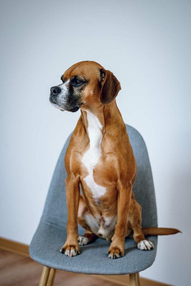 Portrait Spaß Lasko